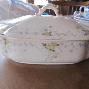 T & R Boote Waterloo Potteries transferware Schonbrunn White Ironstone Covered